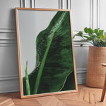Load image into Gallery viewer, Plante plakat | Unik print der tilføjer karakter | Plakat med grønne planter, botanisk kunst og naturplanter, ideel til at tilføje et organisk og livligt præg til dit hjem.
