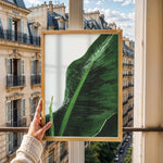 Load image into Gallery viewer, Plante plakat | Unik print der tilføjer karakter | Plakat med grønne planter, botanisk kunst og naturplanter, ideel til at tilføje et organisk og livligt præg til dit hjem.
