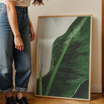 Load image into Gallery viewer, Plante plakat | Unik print der tilføjer karakter | Plakat med grønne planter, botanisk kunst og naturplanter, ideel til at tilføje et organisk og livligt præg til dit hjem.
