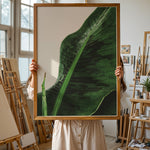 Load image into Gallery viewer, Plante plakat | Unik print der tilføjer karakter | Plakat med grønne planter, botanisk kunst og naturplanter, ideel til at tilføje et organisk og livligt præg til dit hjem.
