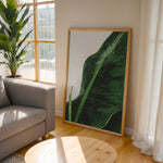 Load image into Gallery viewer, Plante plakat | Unik print der tilføjer karakter | Plakat med grønne planter, botanisk kunst og naturplanter, ideel til at tilføje et organisk og livligt præg til dit hjem.
