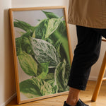 Load image into Gallery viewer, Plante print | Smuk plakat med frodige motiver | Plakat med grønne planter, botanisk kunst og naturplanter, ideel til at tilføje et organisk og livligt præg til dit hjem.
