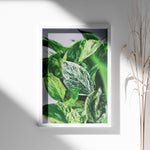 Load image into Gallery viewer, Plante print | Smuk plakat med frodige motiver | Plakat med grønne planter, botanisk kunst og naturplanter, ideel til at tilføje et organisk og livligt præg til dit hjem.
