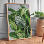 Load image into Gallery viewer, Plante print | Smuk plakat med frodige motiver | Plakat med grønne planter, botanisk kunst og naturplanter, ideel til at tilføje et organisk og livligt præg til dit hjem.
