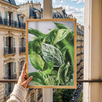 Load image into Gallery viewer, Plante print | Smuk plakat med frodige motiver | Plakat med grønne planter, botanisk kunst og naturplanter, ideel til at tilføje et organisk og livligt præg til dit hjem.
