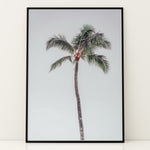 Load image into Gallery viewer, Plakat med palmetræ | Sommer og Strand Plakater | Denne plakat viser et højt palmetræ med en krone af grønne blade mod en klar, lys himmel. Perfekt til dem, der elsker tropiske vibes.
