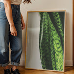 Load image into Gallery viewer, Plante plakat | Naturligt print med en moderne vinkel | Plakat med grønne planter, botanisk kunst og naturplanter, ideel til at tilføje et organisk og livligt præg til dit hjem.
