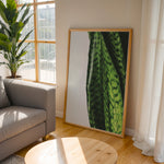 Load image into Gallery viewer, Plante plakat | Naturligt print med en moderne vinkel | Plakat med grønne planter, botanisk kunst og naturplanter, ideel til at tilføje et organisk og livligt præg til dit hjem.
