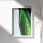 Load image into Gallery viewer, Plante plakat | Naturligt print med en moderne vinkel | Plakat med grønne planter, botanisk kunst og naturplanter, ideel til at tilføje et organisk og livligt præg til dit hjem.
