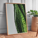 Load image into Gallery viewer, Plante plakat | Naturligt print med en moderne vinkel | Plakat med grønne planter, botanisk kunst og naturplanter, ideel til at tilføje et organisk og livligt præg til dit hjem.
