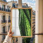 Load image into Gallery viewer, Plante plakat | Naturligt print med en moderne vinkel | Plakat med grønne planter, botanisk kunst og naturplanter, ideel til at tilføje et organisk og livligt præg til dit hjem.
