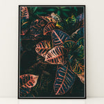 Load image into Gallery viewer, Plante print | Elegant plakat der fanger øjet | Plakat med grønne planter, botanisk kunst og naturplanter, ideel til at tilføje et organisk og livligt præg til dit hjem.
