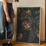Load image into Gallery viewer, Plante print | Elegant plakat der fanger øjet | Plakat med grønne planter, botanisk kunst og naturplanter, ideel til at tilføje et organisk og livligt præg til dit hjem.
