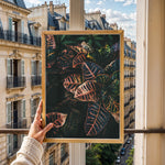 Load image into Gallery viewer, Plante print | Elegant plakat der fanger øjet | Plakat med grønne planter, botanisk kunst og naturplanter, ideel til at tilføje et organisk og livligt præg til dit hjem.
