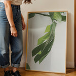 Load image into Gallery viewer, Plante plakat | Farverigt print der bringer liv til væggene | Plakat med grønne planter, botanisk kunst og naturplanter, ideel til at tilføje et organisk og livligt præg til dit hjem.
