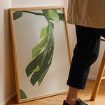 Load image into Gallery viewer, Plante plakat | Farverigt print der bringer liv til væggene | Plakat med grønne planter, botanisk kunst og naturplanter, ideel til at tilføje et organisk og livligt præg til dit hjem.
