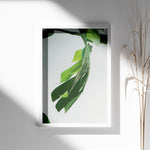 Load image into Gallery viewer, Plante plakat | Farverigt print der bringer liv til væggene | Plakat med grønne planter, botanisk kunst og naturplanter, ideel til at tilføje et organisk og livligt præg til dit hjem.
