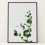 Load image into Gallery viewer, Plante print | Inspirerende plakat med skønne naturmotiver | Plakat med grønne planter, botanisk kunst og naturplanter, ideel til at tilføje et organisk og livligt præg til dit hjem.
