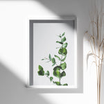 Load image into Gallery viewer, Plante print | Inspirerende plakat med skønne naturmotiver | Plakat med grønne planter, botanisk kunst og naturplanter, ideel til at tilføje et organisk og livligt præg til dit hjem.
