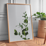 Load image into Gallery viewer, Plante print | Inspirerende plakat med skønne naturmotiver | Plakat med grønne planter, botanisk kunst og naturplanter, ideel til at tilføje et organisk og livligt præg til dit hjem.
