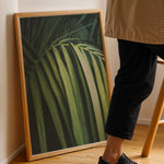 Load image into Gallery viewer, Plante print | Smuk plakat med unikke bladdesigns | Plakat med grønne planter, botanisk kunst og naturplanter, ideel til at tilføje et organisk og livligt præg til dit hjem.
