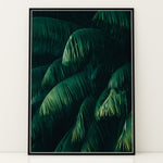 Load image into Gallery viewer, Plante plakat | Frodigt print der lyser op i hjemmet | Plakat med grønne planter, botanisk kunst og naturplanter, ideel til at tilføje et organisk og livligt præg til dit hjem.
