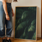 Load image into Gallery viewer, Plante plakat | Frodigt print der lyser op i hjemmet | Plakat med grønne planter, botanisk kunst og naturplanter, ideel til at tilføje et organisk og livligt præg til dit hjem.
