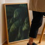 Load image into Gallery viewer, Plante plakat | Frodigt print der lyser op i hjemmet | Plakat med grønne planter, botanisk kunst og naturplanter, ideel til at tilføje et organisk og livligt præg til dit hjem.
