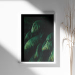 Load image into Gallery viewer, Plante plakat | Frodigt print der lyser op i hjemmet | Plakat med grønne planter, botanisk kunst og naturplanter, ideel til at tilføje et organisk og livligt præg til dit hjem.
