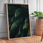 Load image into Gallery viewer, Plante plakat | Frodigt print der lyser op i hjemmet | Plakat med grønne planter, botanisk kunst og naturplanter, ideel til at tilføje et organisk og livligt præg til dit hjem.

