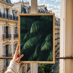 Load image into Gallery viewer, Plante plakat | Frodigt print der lyser op i hjemmet | Plakat med grønne planter, botanisk kunst og naturplanter, ideel til at tilføje et organisk og livligt præg til dit hjem.
