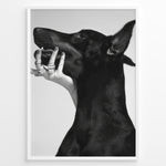 Load image into Gallery viewer, Fashion Plakat | Black and White Fashion Art Print – Dog with Hand Adorned in Rings Plakaty.dk | Black and white artistic photo of a black dog with a human hand wearing multiple rings gently placed on its jaw.
