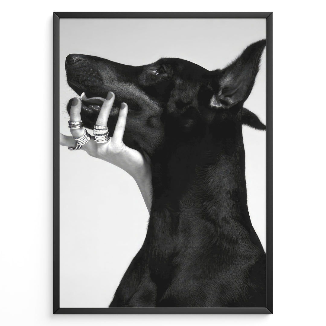 Fashion Plakat | Black and White Fashion Art Print – Dog with Hand Adorned in Rings Plakaty.dk | Black and white artistic photo of a black dog with a human hand wearing multiple rings gently placed on its jaw.