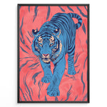 Load image into Gallery viewer, Japanske plakater | Modern pop art illustration of a blue tiger walking forward on a vivid coral-red background with black stripes, framed in black.
