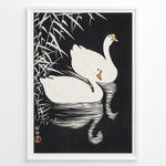 Load image into Gallery viewer, Framed Japanese Ukiyo-e style art poster showing two white swans gliding on dark water with bamboo leaves above.
