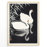 Load image into Gallery viewer, Framed Japanese Ukiyo-e style art poster showing two white swans gliding on dark water with bamboo leaves above.
