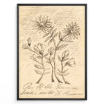 Load image into Gallery viewer, Framed vintage botanical sketch poster with hand-drawn flowers and cursive handwriting on an aged beige background.
