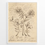 Load image into Gallery viewer, Framed vintage botanical sketch poster with hand-drawn flowers and cursive handwriting on an aged beige background.

