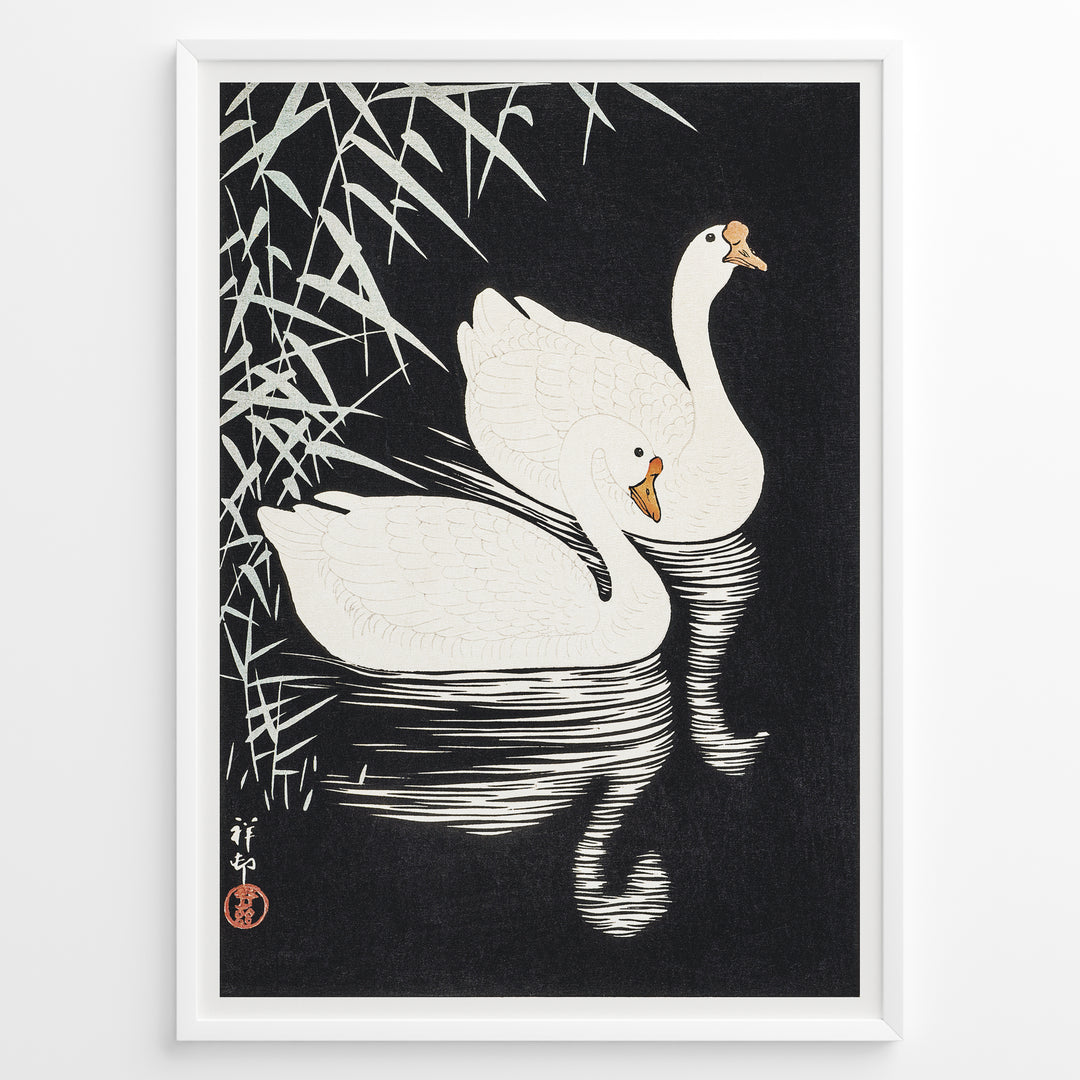 Japanese vintage art print of two white swans swimming among reeds on a dark background in a black frame.