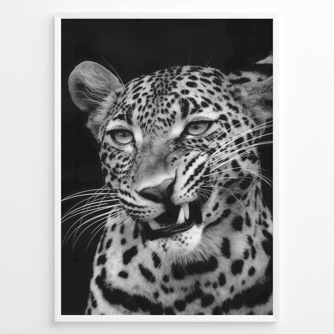 Fashion Plakat | Fierce Grace: Leopard in Black and White Plakaty.dk | Close-up black and white photo of a snarling leopard with intense eyes and sharp teeth