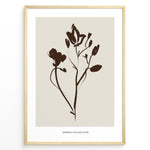 Load image into Gallery viewer, Framed Jardin Collection poster with minimalist brown floral line art on a beige background and white border.
