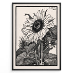 Load image into Gallery viewer, Framed vintage black and white sunflower botanical poster with intricate line art detailing and 1919 inscription.
