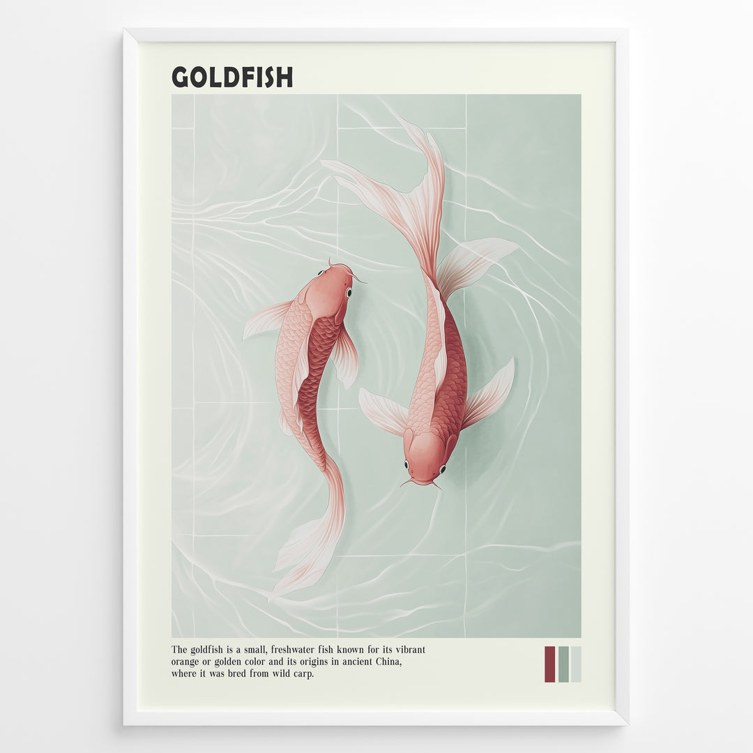Plakater | Digital illustration of two pinkish-orange goldfish swimming in clear water with subtle wave patterns, framed in black with the title "GOLDFISH" and descriptive text below.