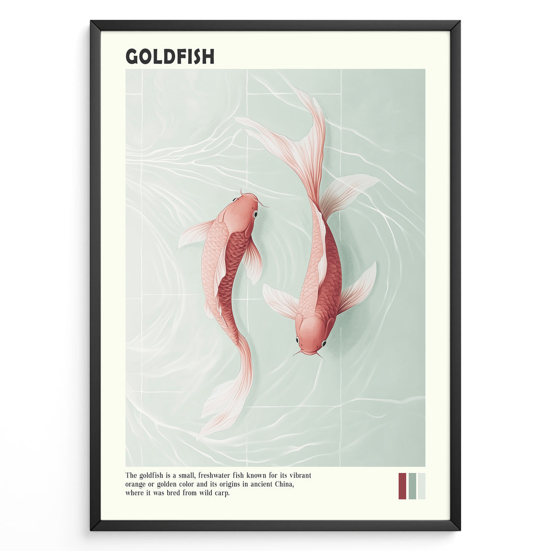 Plakater | Digital illustration of two pinkish-orange goldfish swimming in clear water with subtle wave patterns, framed in black with the title "GOLDFISH" and descriptive text below.