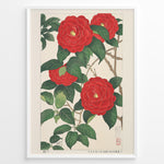 Load image into Gallery viewer, Japanske plakater |   Traditional Japanese botanical art print of red camellia flowers with green leaves in a black frame.
