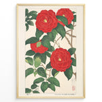 Load image into Gallery viewer, Japanske plakater |   Traditional Japanese botanical art print of red camellia flowers with green leaves in a black frame.
