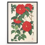 Load image into Gallery viewer, Japanske plakater |   Traditional Japanese botanical art print of red camellia flowers with green leaves in a black frame.
