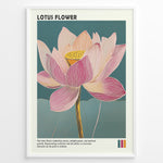 Load image into Gallery viewer, Plakater | Framed artistic illustration of a lotus flower with pink and cream petals on a teal background, accompanied by a description about its symbolism of purity, enlightenment, and spiritual growth.

