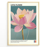 Load image into Gallery viewer, Plakater | Framed artistic illustration of a lotus flower with pink and cream petals on a teal background, accompanied by a description about its symbolism of purity, enlightenment, and spiritual growth.
