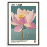 Load image into Gallery viewer, Plakater | Framed artistic illustration of a lotus flower with pink and cream petals on a teal background, accompanied by a description about its symbolism of purity, enlightenment, and spiritual growth.

